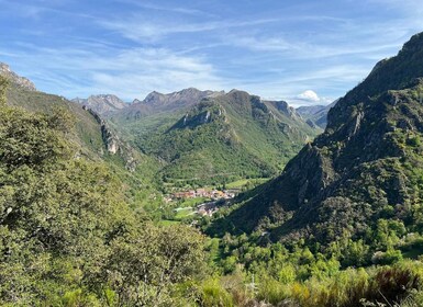 From Gijón or Oviedo: Somiedo Natural Park Day Trip