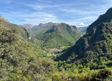 From Gijón or Oviedo: Somiedo Natural Park Day Trip