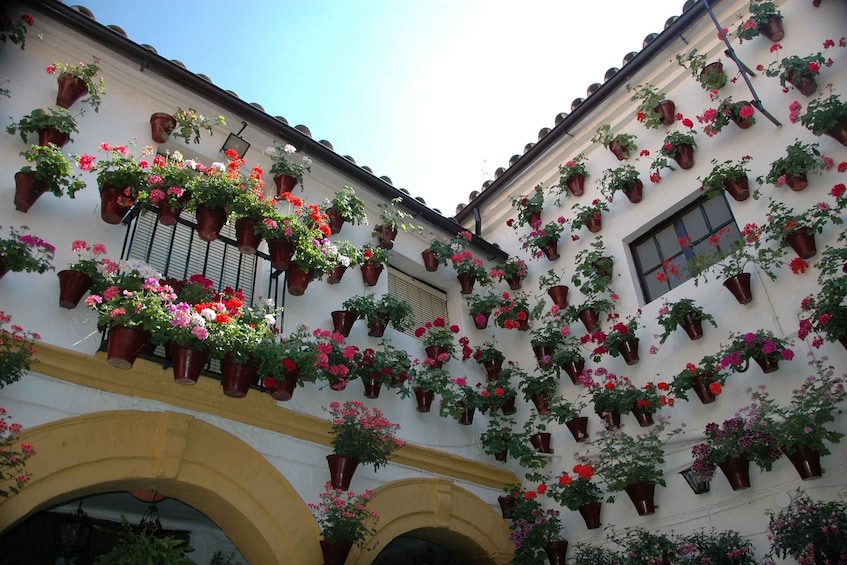 Picture 2 for Activity From Malaga: Private Guided Walking Tour of Córdoba