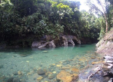 Crystal River: crystalline waters, stunning landscapes