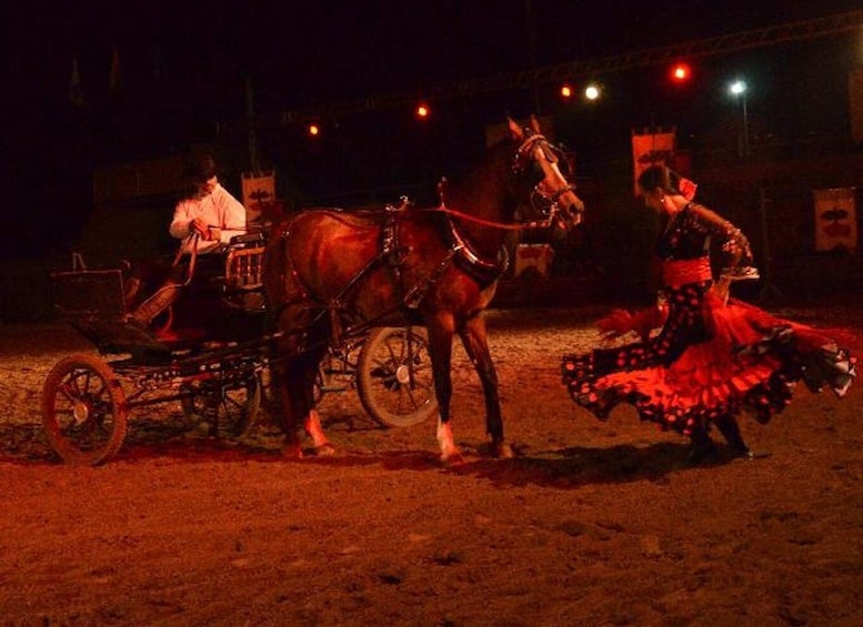 Picture 3 for Activity Tenerife : Horse Show Entry ticket with optional dinner