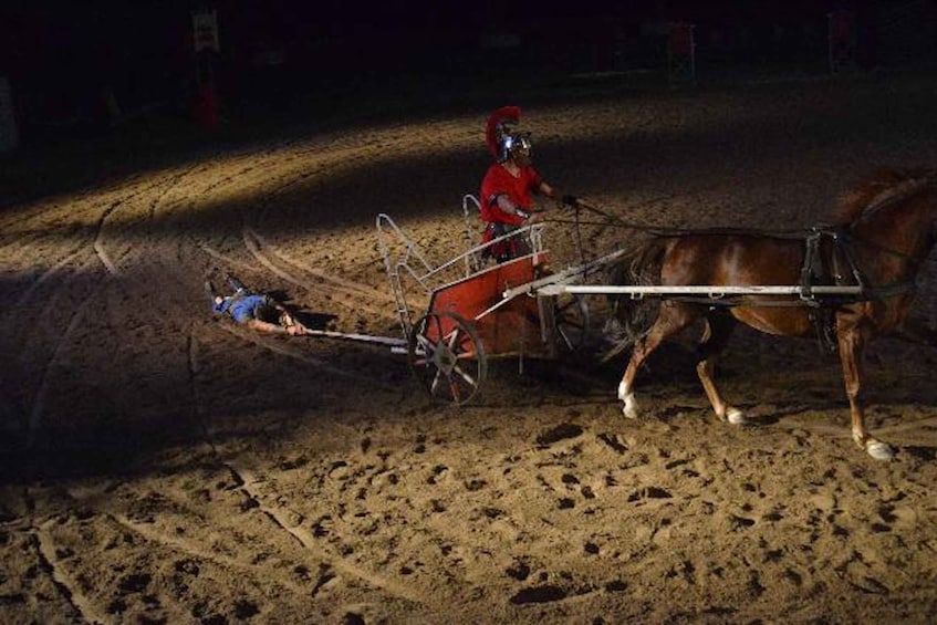 Picture 5 for Activity Tenerife : Horse Show Entry ticket with optional dinner