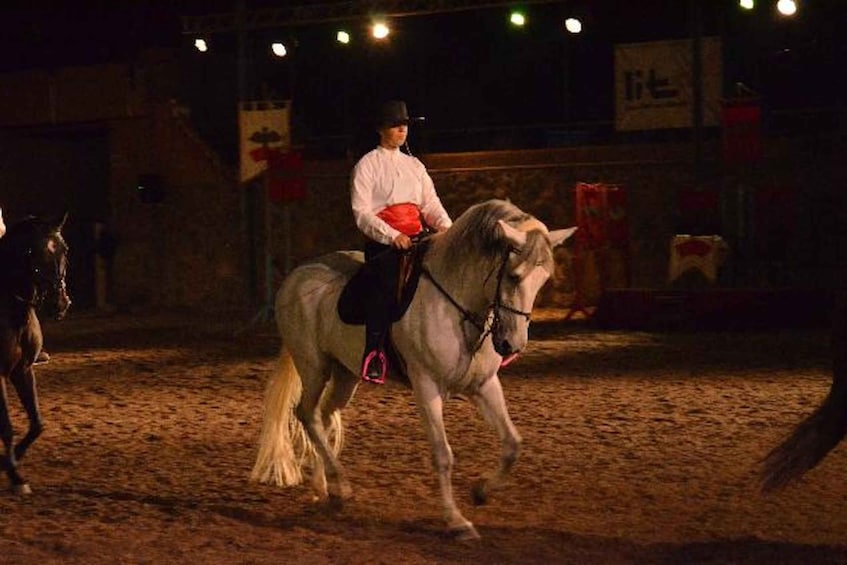 Tenerife : Horse Show Entry ticket with optional dinner