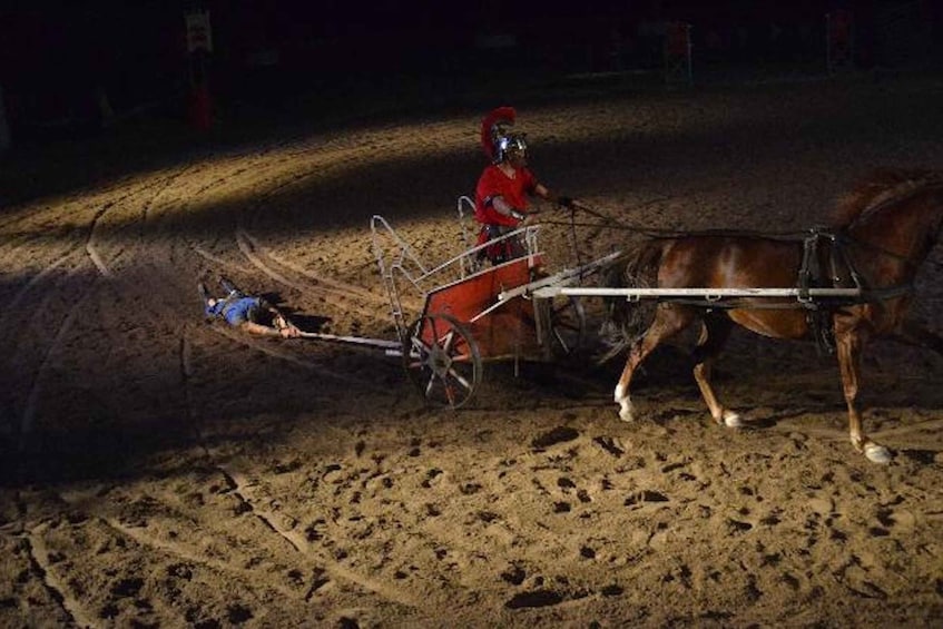 Picture 5 for Activity Tenerife : Horse Show Entry ticket with optional dinner