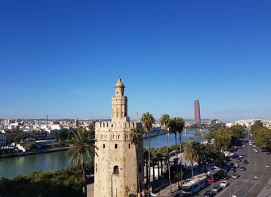Sevilla: Paella y sangría en una azotea