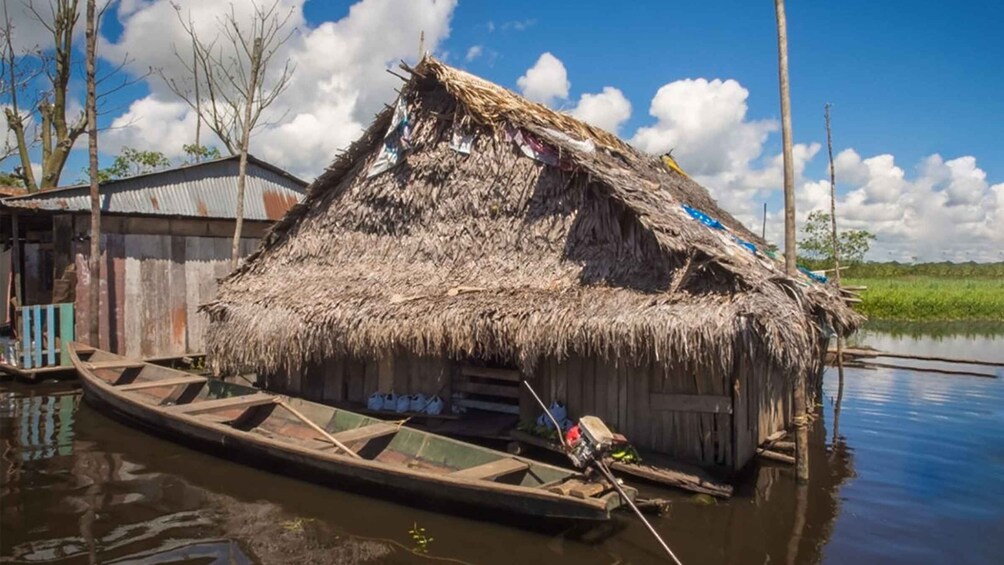 Picture 1 for Activity Iquitos: Belen Market and Venice Loretana Guided Tour