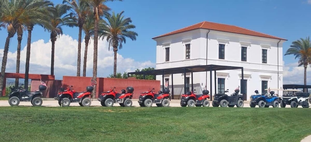 Picture 19 for Activity From Ribera: Quad Tour in the province of Agrigento