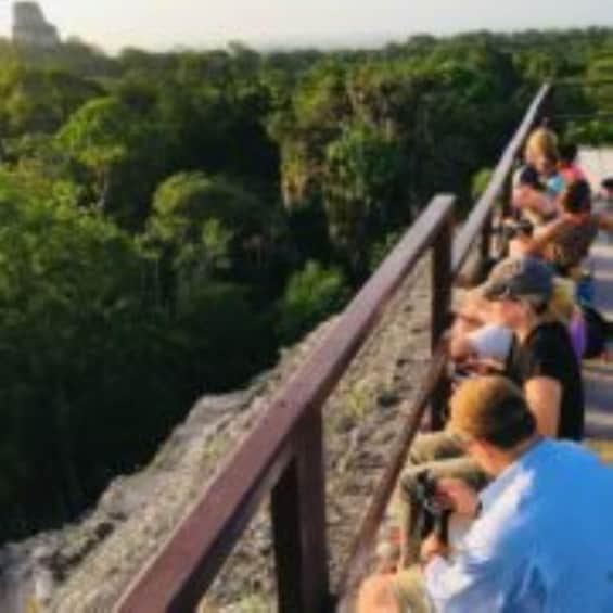 Picture 1 for Activity From Flores: Tikal and Yaxhá Day Tour
