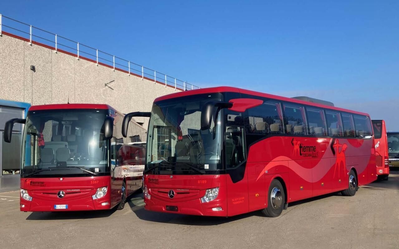 From Fiumicino Airport: 1-Way Bus Transfer to Paganico