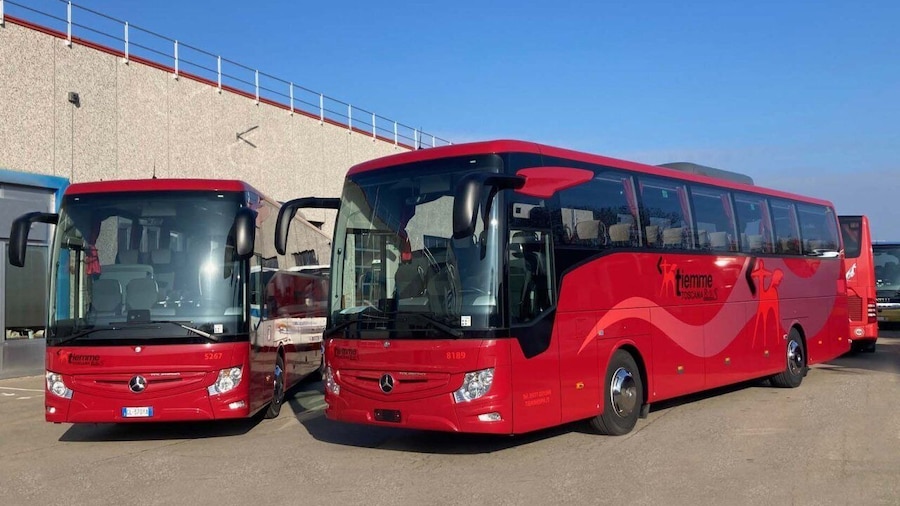 From Fiumicino Airport: 1-Way Bus Transfer to Paganico