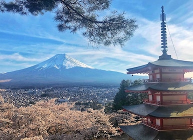 From Tokyo: Private Trip to Mount Fuji and Lake Kawaguchi