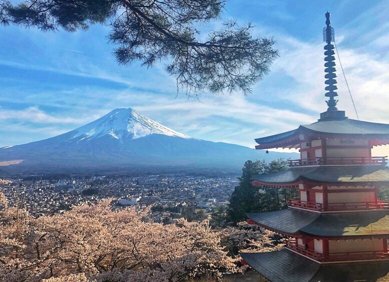 From Tokyo: Private Trip to Mount Fuji and Lake Kawaguchi