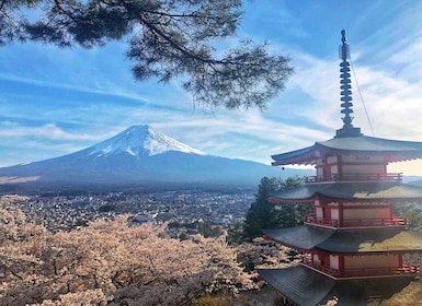 From Tokyo: Private Trip to Mount Fuji and Lake Kawaguchi