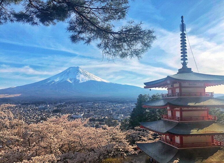 From Tokyo: Private Trip to Mount Fuji and Lake Kawaguchi