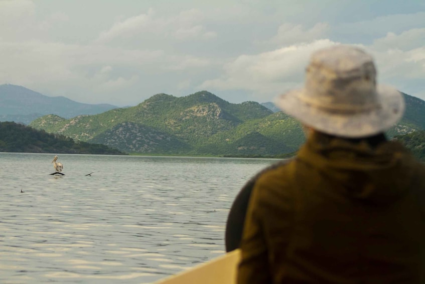 Picture 30 for Activity Virpazar: Lake Skadar Sightseeing Cruise