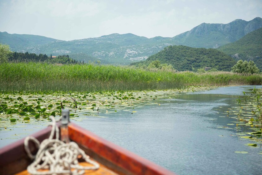 Picture 4 for Activity Virpazar: Lake Skadar Sightseeing Cruise