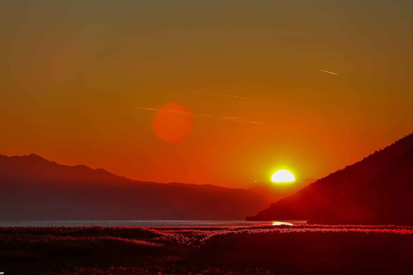 Picture 28 for Activity Virpazar: Lake Skadar Sightseeing Cruise