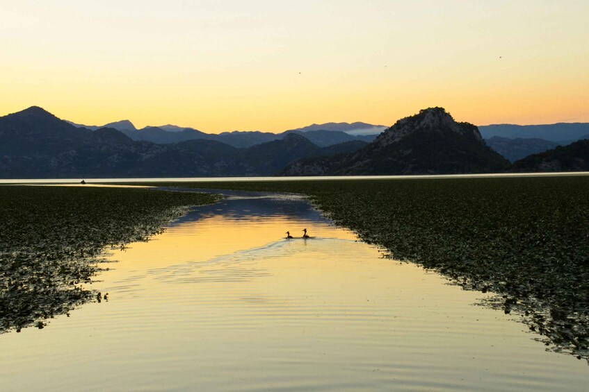 Picture 14 for Activity Virpazar: Lake Skadar Sightseeing Cruise