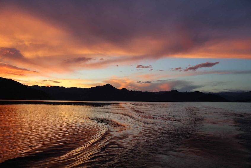 Picture 31 for Activity Virpazar: Lake Skadar Sightseeing Cruise