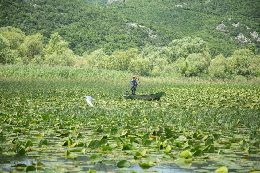 Picture 8 for Activity Virpazar: Lake Skadar Sightseeing Cruise