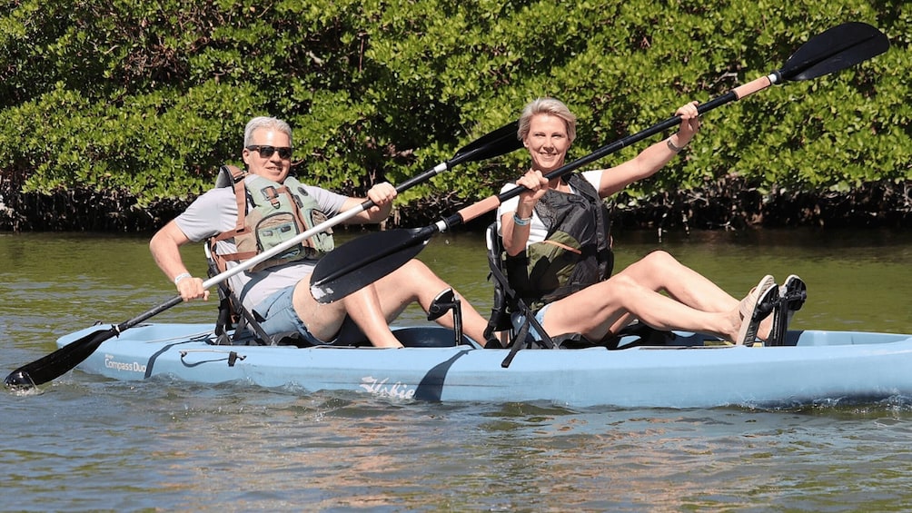 Picture 6 for Activity From Naples, FL: Marco Island Mangroves Kayak or Paddle Tour