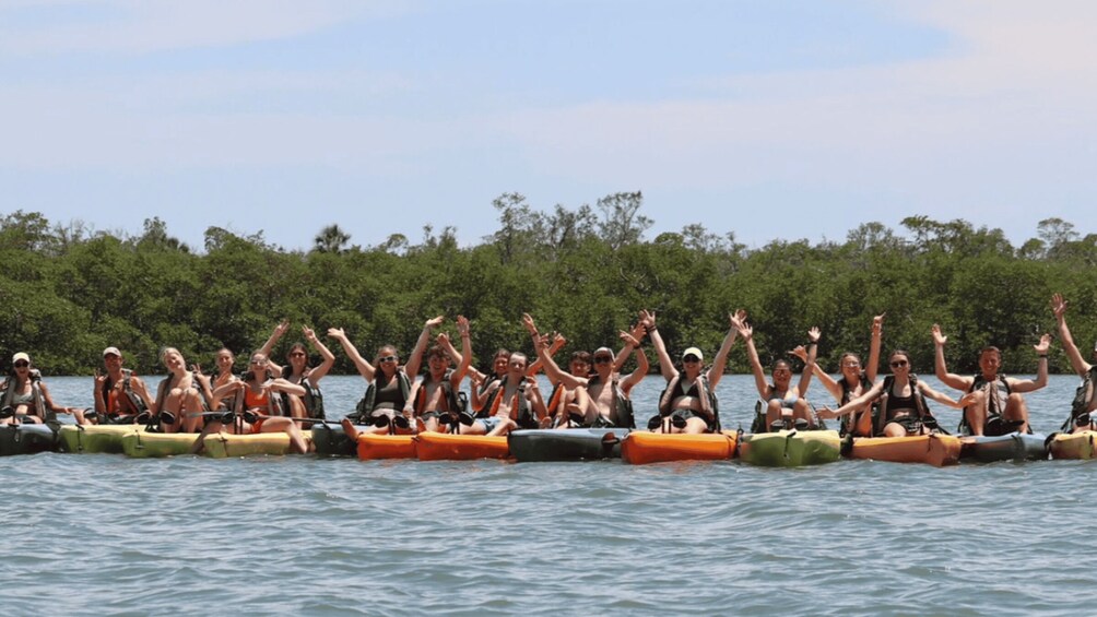 Picture 5 for Activity From Naples, FL: Marco Island Mangroves Kayak or Paddle Tour