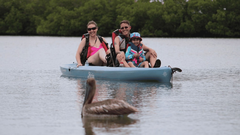 Picture 3 for Activity From Naples, FL: Marco Island Mangroves Kayak or Paddle Tour