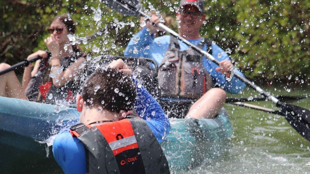 Picture 2 for Activity From Naples, FL: Marco Island Mangroves Kayak or Paddle Tour