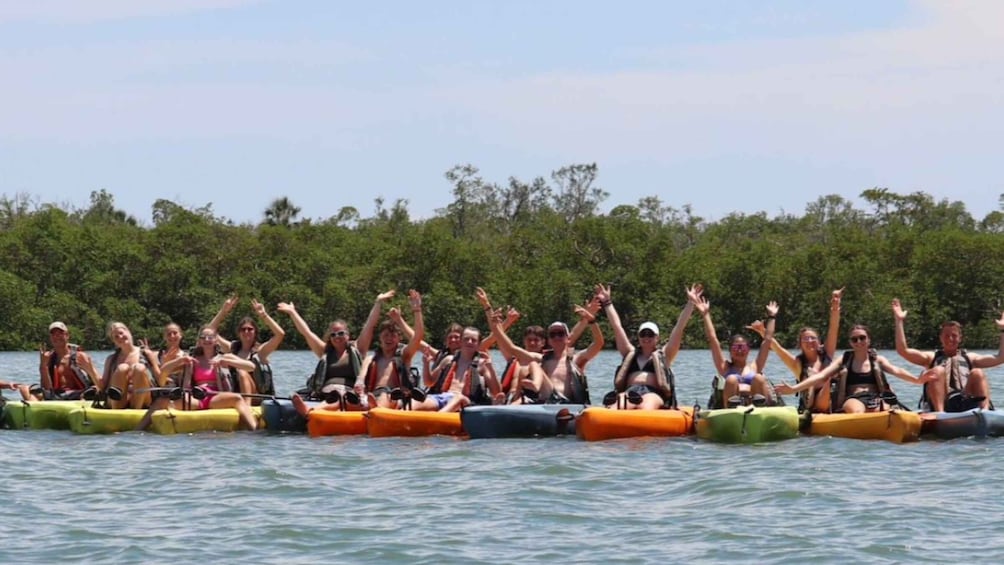 Picture 5 for Activity From Naples, FL: Marco Island Mangroves Kayak or Paddle Tour