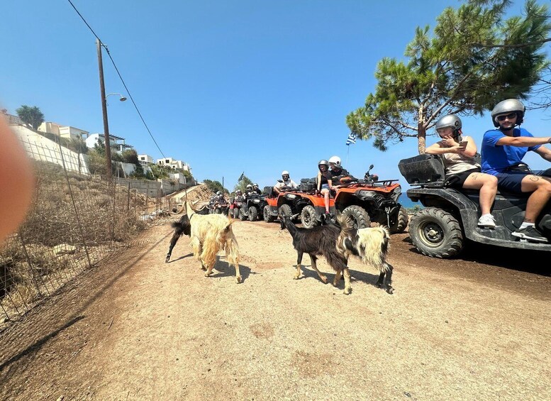 Picture 13 for Activity Agia Pelagia: Sunset Quad Trip with Local Products Tasting