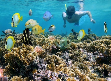 Playa Mantas: Morning Guided Snorkeling Tour Near Jaco Beach