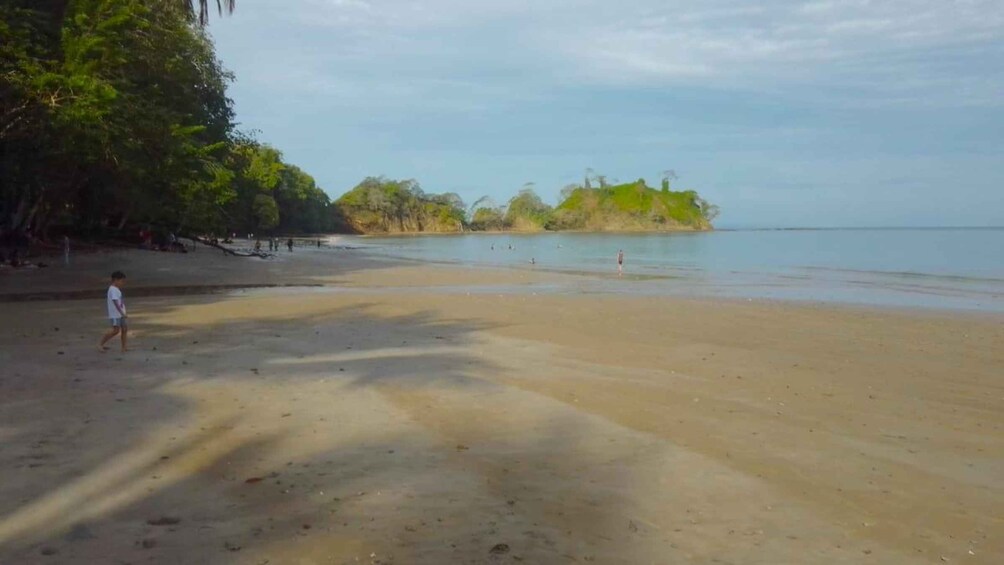 Picture 10 for Activity Playa Mantas: Morning Guided Snorkeling Tour Near Jaco Beach