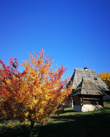 Picture 4 for Activity Zlatibor tour - Gold gondola, Stopic cave, Sirogojno & falls