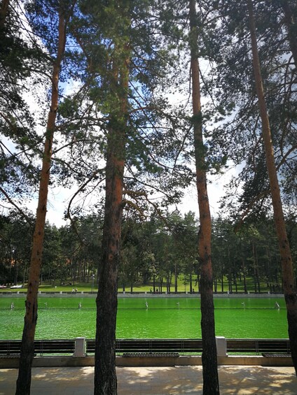 Picture 12 for Activity Zlatibor tour - Gold gondola, Stopic cave, Sirogojno & falls