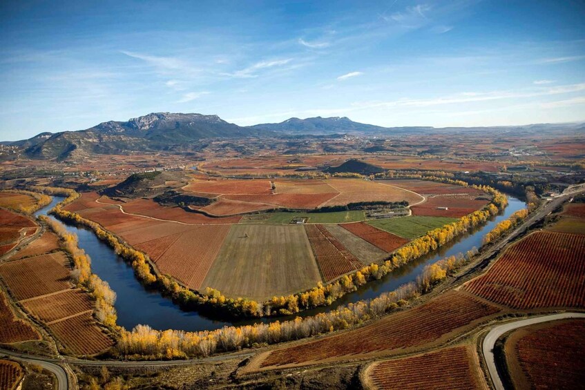 Rioja Alta and Rioja Alavesa Wine Tour (from Rioja)