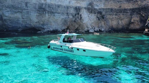 Private charters comino boat trips