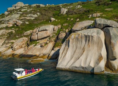 Melbourne: Wilsons Promontory Ochtend Wildernis Cruise