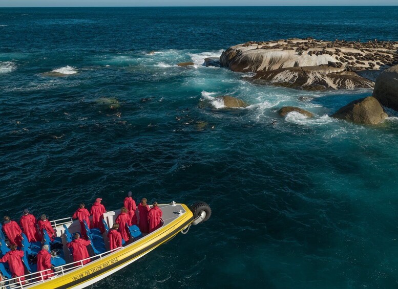 Picture 2 for Activity Melbourne: Wilsons Promontory Morning Wilderness Cruise