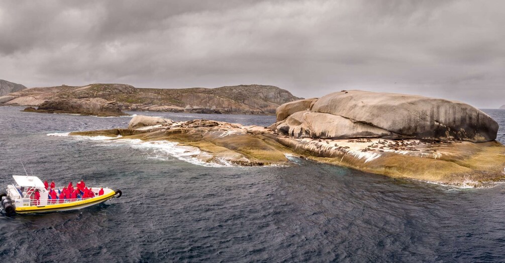 Picture 4 for Activity Melbourne: Wilsons Promontory Morning Wilderness Cruise