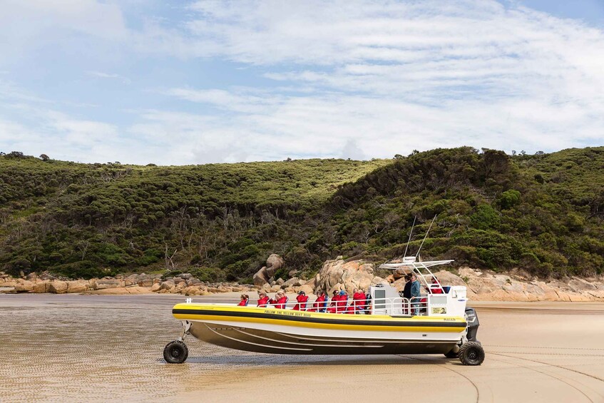 Picture 3 for Activity Melbourne: Wilsons Promontory Morning Wilderness Cruise