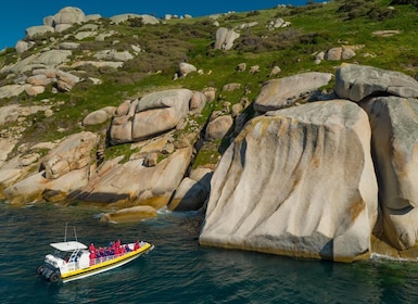 Melbourne: Wilsons Promontory Morning Wilderness Cruise