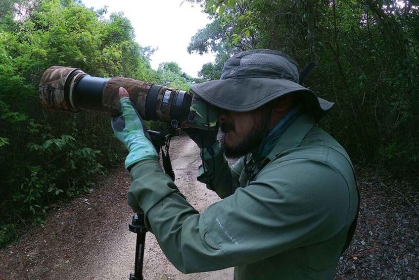 Picture 2 for Activity Mahahual: Costa Maya Birdwatching Experience