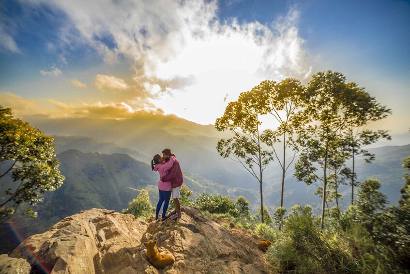 Picture 4 for Activity Ella Rock & 9 Arch Bridge, Little Adams Peak with Transfer