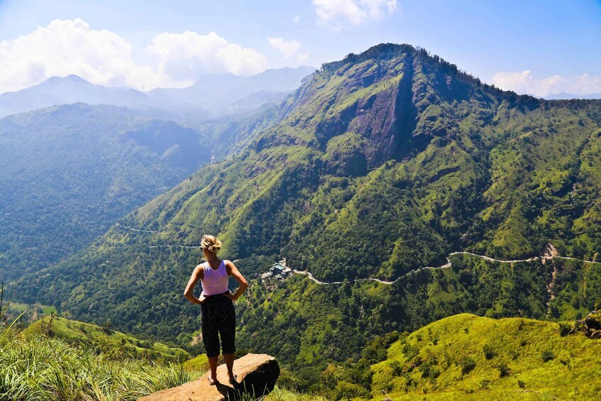 Picture 2 for Activity Ella Rock & 9 Arch Bridge, Little Adams Peak with Transfer