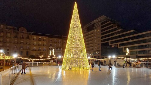 Tour to vigo christmas lights plus pontevedra including boat