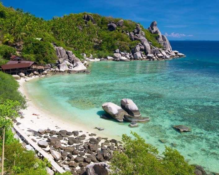 Picture 6 for Activity Koh Tao : Private Road Trip To 8 Famous Places