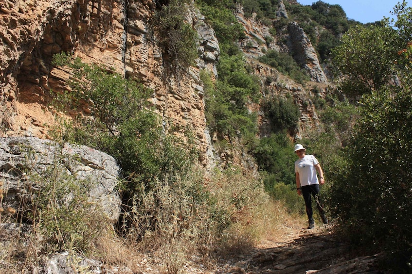 Picture 7 for Activity Trekking day at Vikos Gorge for all