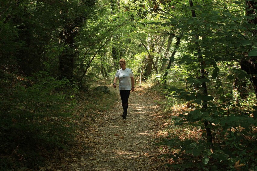 Picture 9 for Activity Trekking day at Vikos Gorge for all