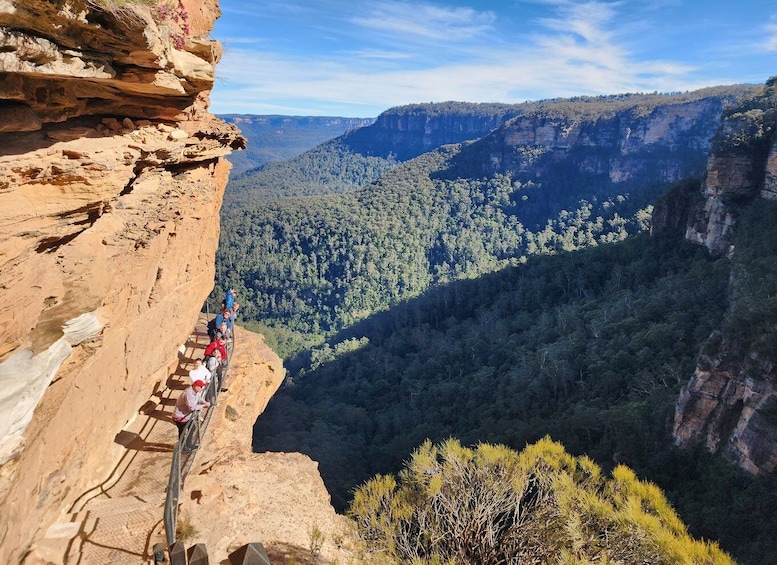 Picture 2 for Activity From Sydney: Blue Mountains Tour with Waterfall Walk & Lunch