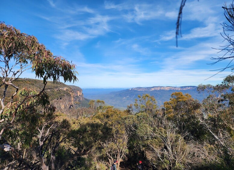 Picture 6 for Activity From Sydney: Blue Mountains Tour with Waterfall Walk & Lunch